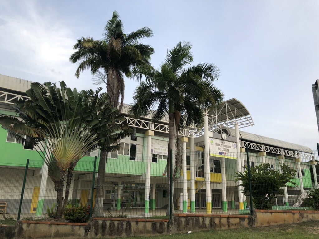 Palmiers de l'entrée du lycée Yves Leborgne