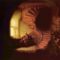 Le philosophe (tableau de Rembrandt)