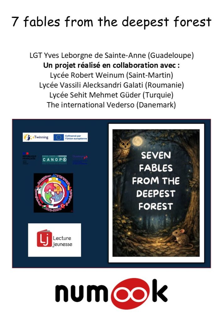 Publication Numook par Lecture Jeunesse d'un premier livre digital récompensé à la médiathèque du Lamentin par le prix de l'ebook le plus collaboratif