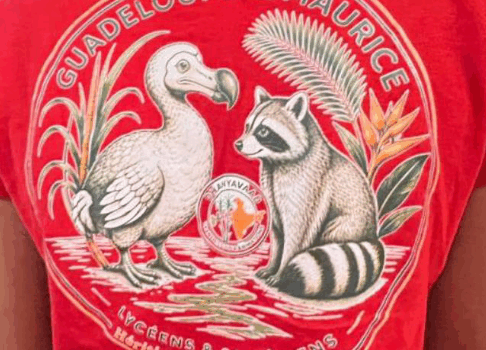 Dos d'un participant portant le logo de la rencontre entre l'île Maurice et la Guadeloupe (un dodo rencontrant un racoon)